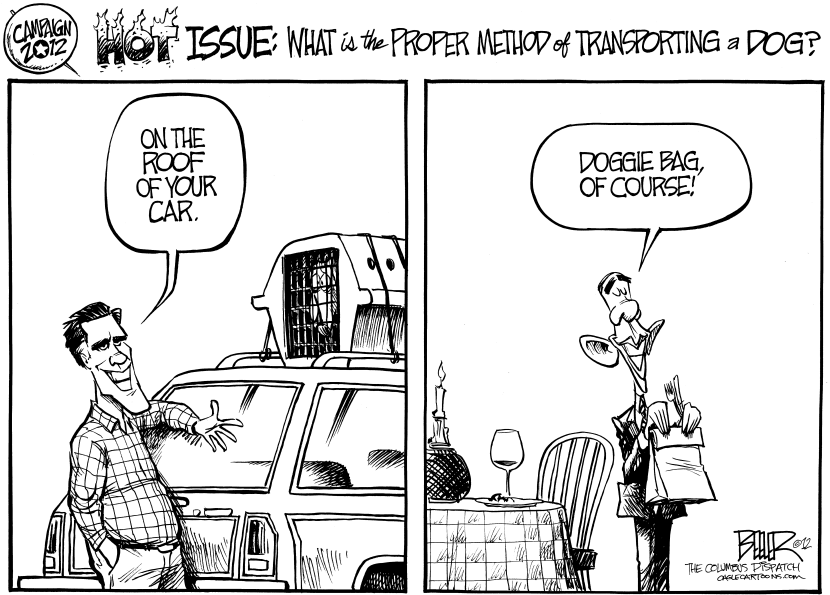 The Dog Issue