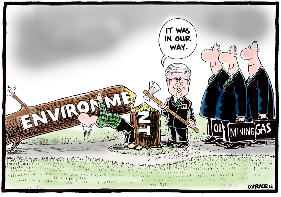 Damn the Environment