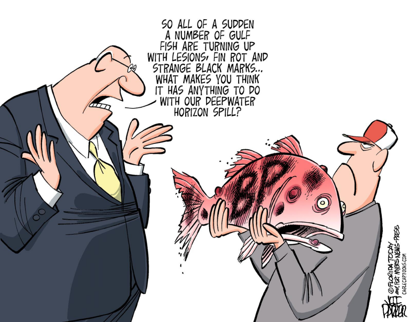 BPs Sick Gulf Fish
