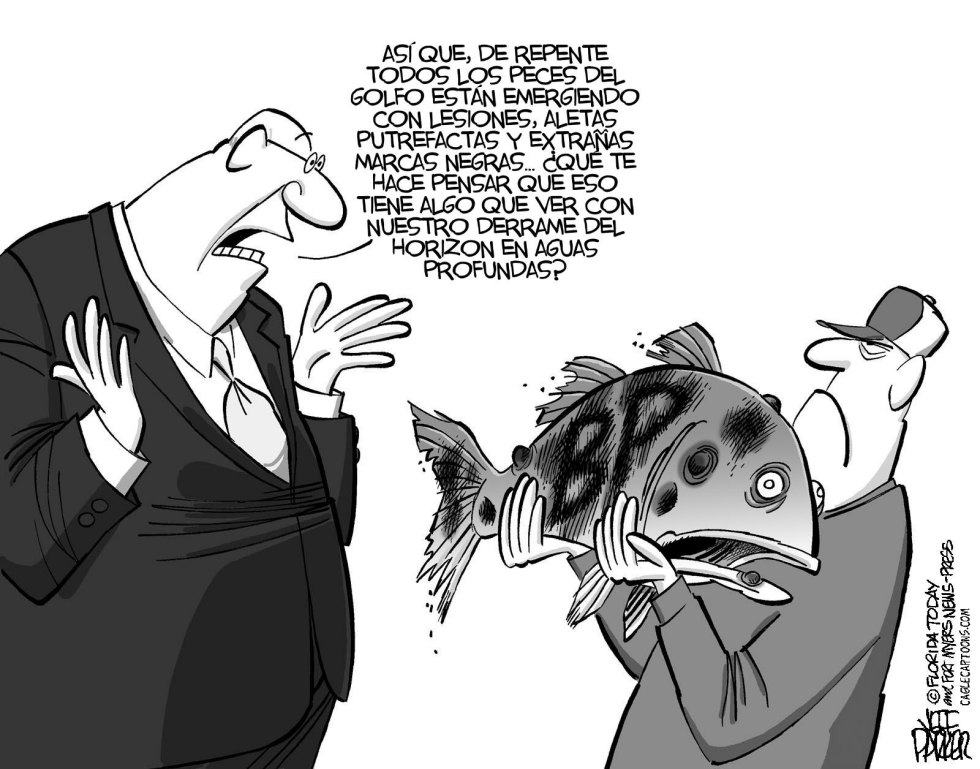 Peces del Golfo enfermos por BP