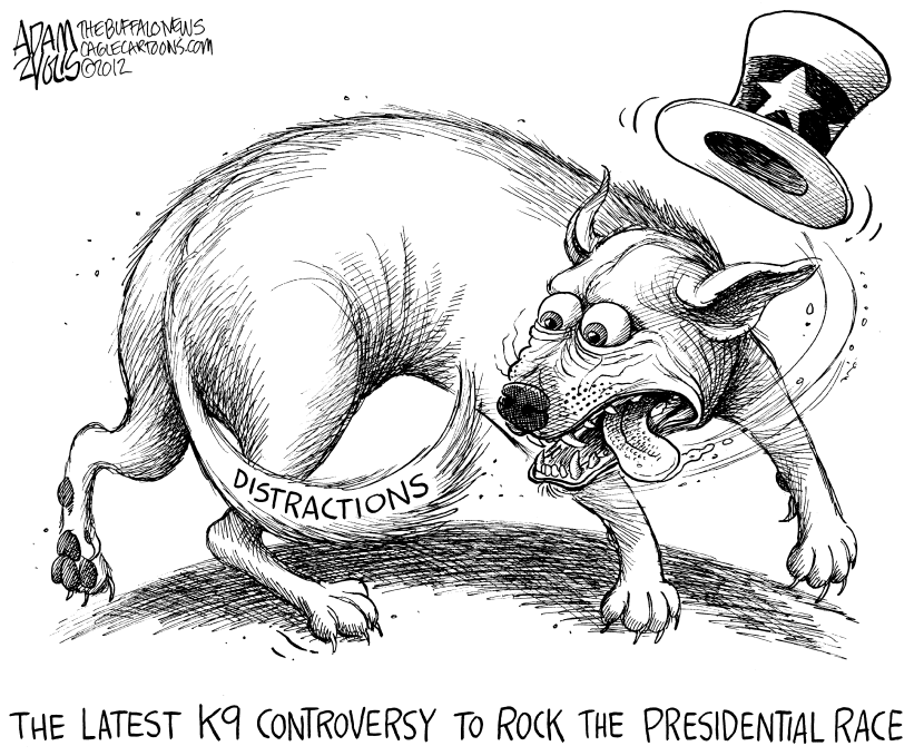 K9 Controversies