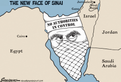 SINAI by Steve Greenberg