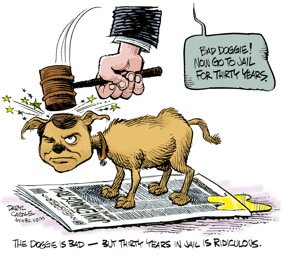 John Edwards Doggie Ridiculous COLOR