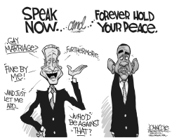 OBAMA AND BIDEN ON GAY MARRIAGE BW by John Cole