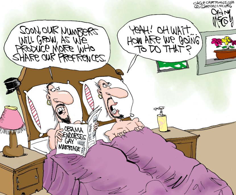Obama Endorses Gay Marriage COLOR