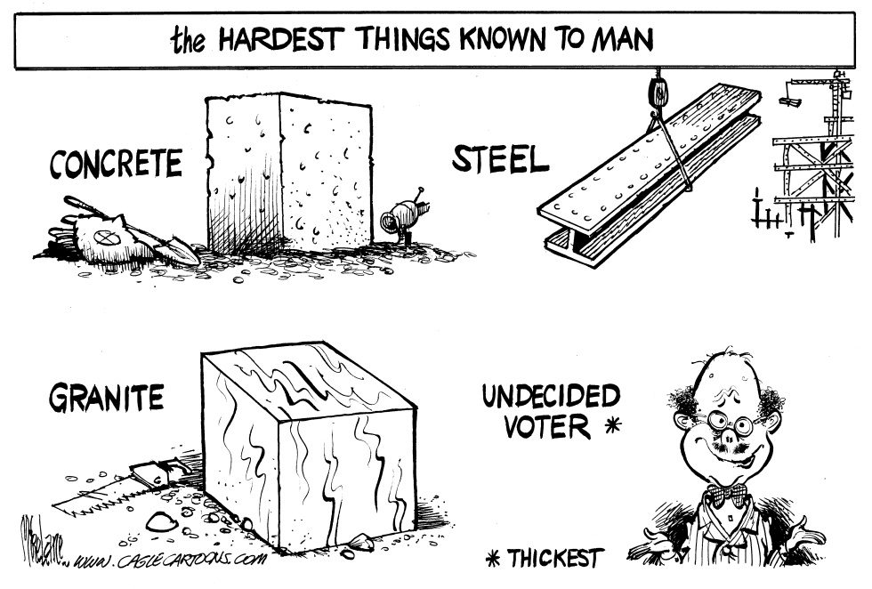  THE UNDECIDED BLOCKHEAD by Mike Lane