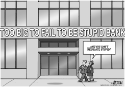 TOO BIG TO FAIL TO BE STUPID BANK by R.J. Matson