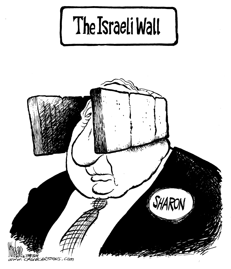  ISRAELI WALL by Mike Lane