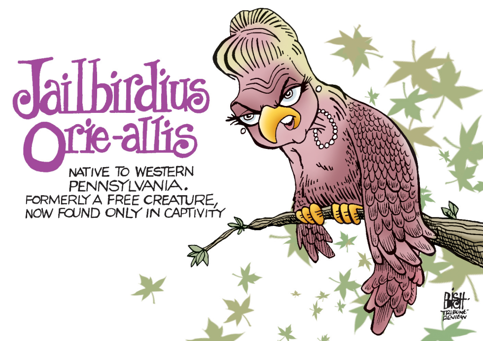 LOCAL, PA- SENATOR ORIE GOES TO JAIL, COLOR