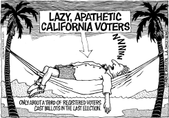 LOCAL-CA CALIFORNIA VOTER APATHY by Monte Wolverton