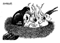 VOTER ID LAWS by Jimmy Margulies
