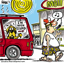 STUPID by Steve Nease