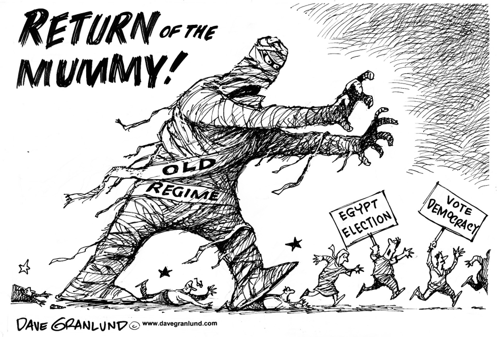 Egypt elections