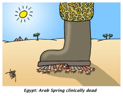 ARAB SPRING DEAD by Arend Van Dam
