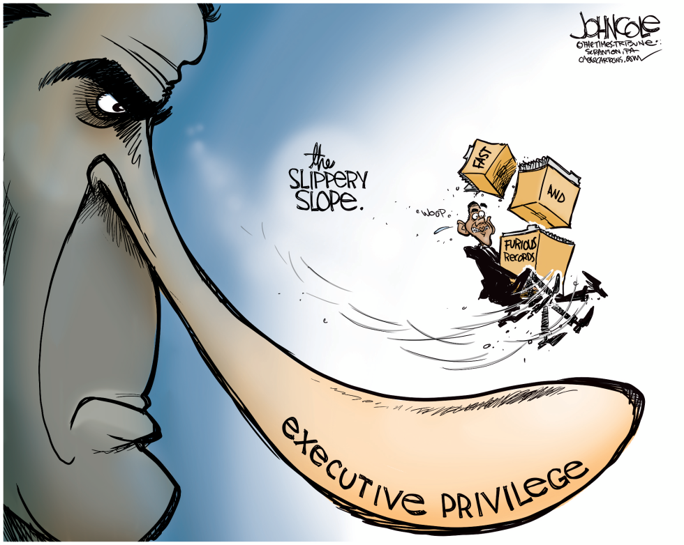  OBAMA AND EXECUTIVE PRIVILEGE by John Cole