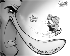 OBAMA AND EXECUTIVE PRIVILEGE BW by John Cole