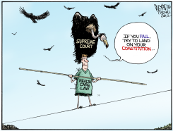 HEALTHCARE ON A WIRE  by Christopher Weyant