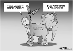 EXECUTIVE PRIVILEGE FLIPMI-FLOPYU by R.J. Matson