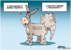 EXECUTIVE PRIVILEGE FLIPMI- FLOPYU by R.J. Matson