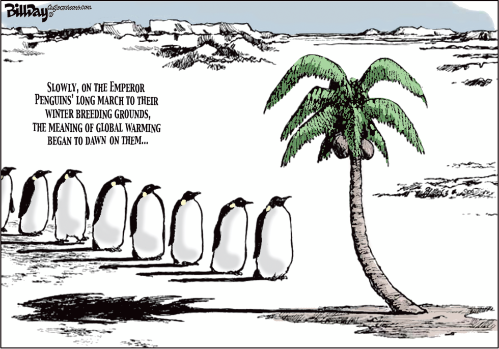 Tropical Birds
