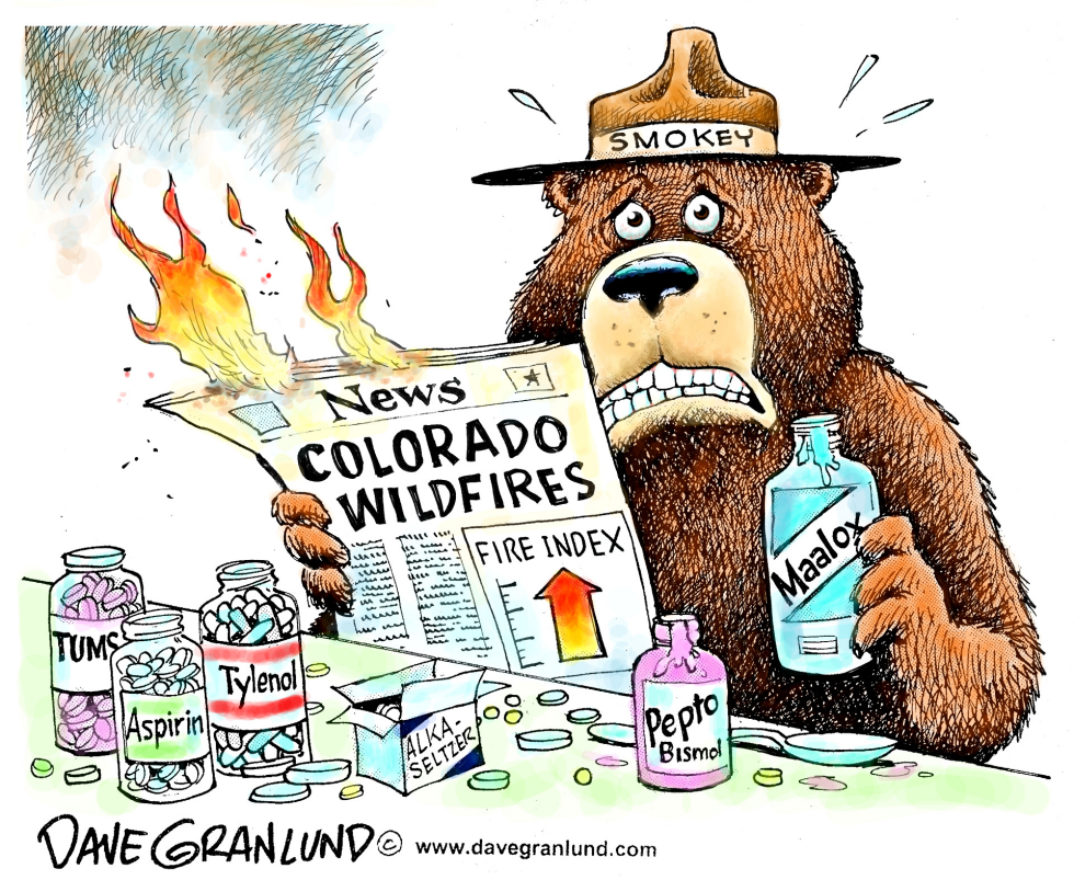  ADO WILDFIRES by Dave Granlund