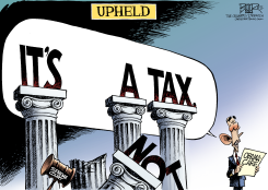 OBAMACARE UPHELD  by Nate Beeler