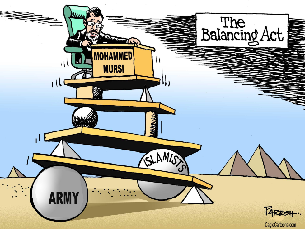  BALANCING ACT IN EGYPT by Paresh Nath