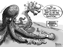 MEXICAN POLL & DRUG WAR by Paresh Nath