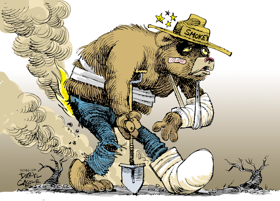  OSO BOMBERO MALTRATADO by Daryl Cagle