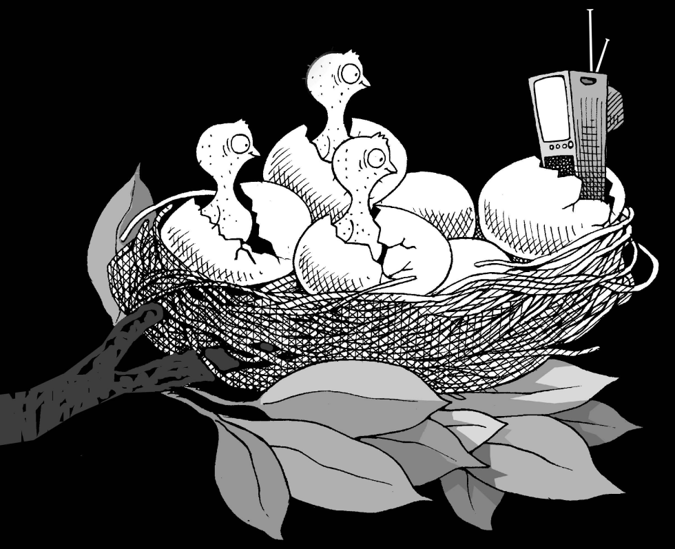 The children of the TV