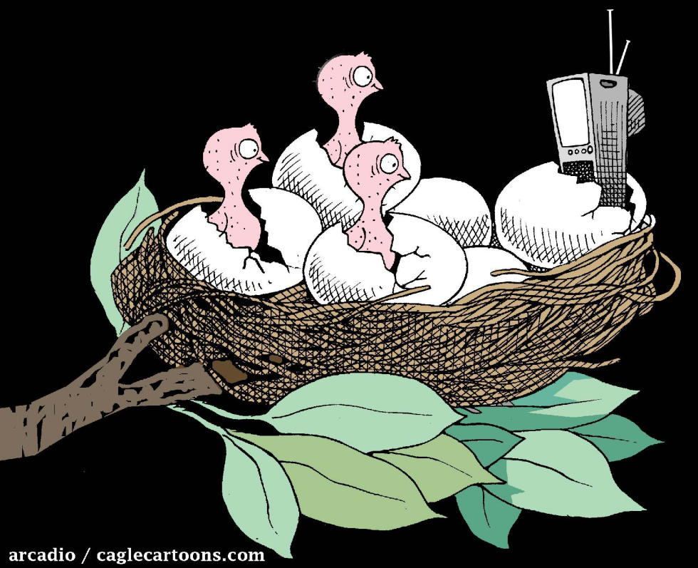 The children of the TV COLOR