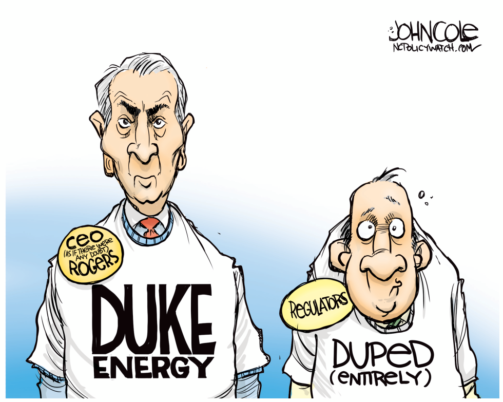 Duke Energy CEO -- COLOR
