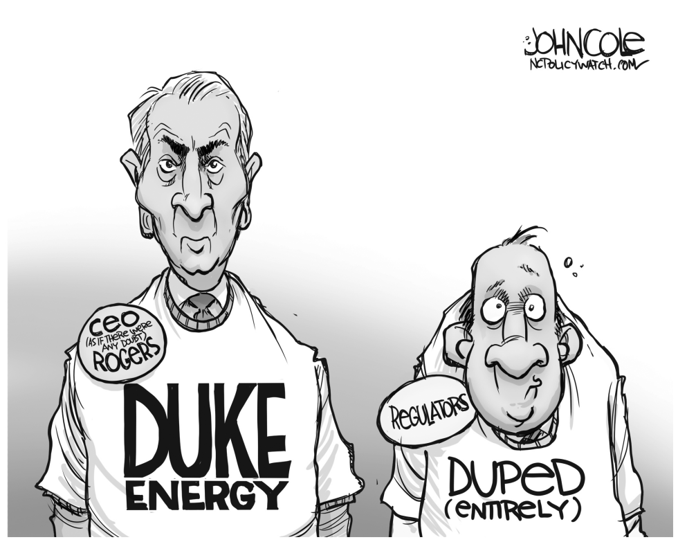Duke Energy CEO -- BW