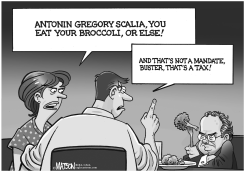 BROCCOLI TAX by R.J. Matson