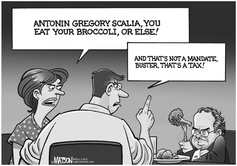 Broccoli Tax