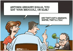 BROCCOLI TAX by R.J. Matson