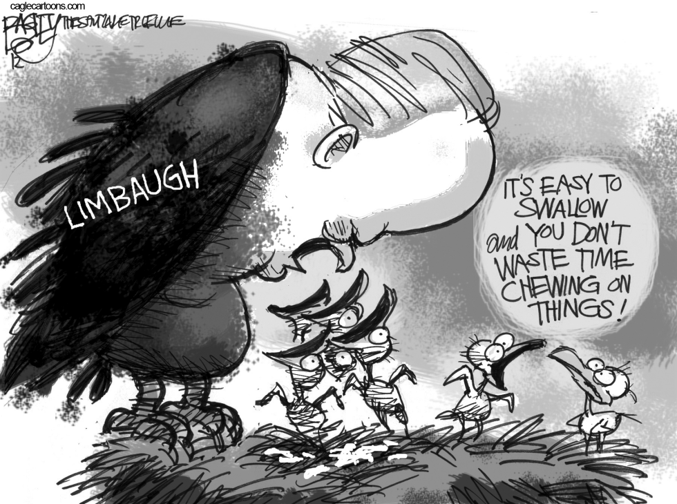 Limbaugh Spews