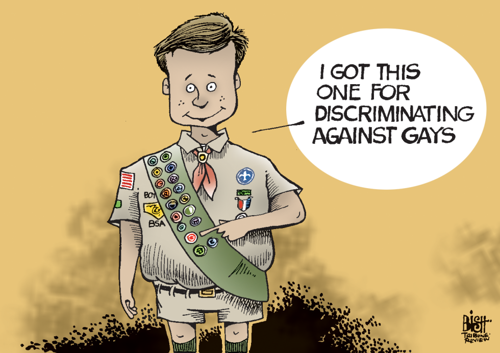 BOY SCOUTS AND GAYS, COLOR