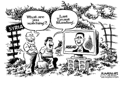 ASSAD AND SYRIA by Jimmy Margulies
