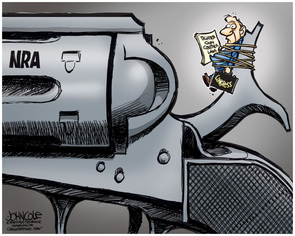 NRA and Congress COLOR