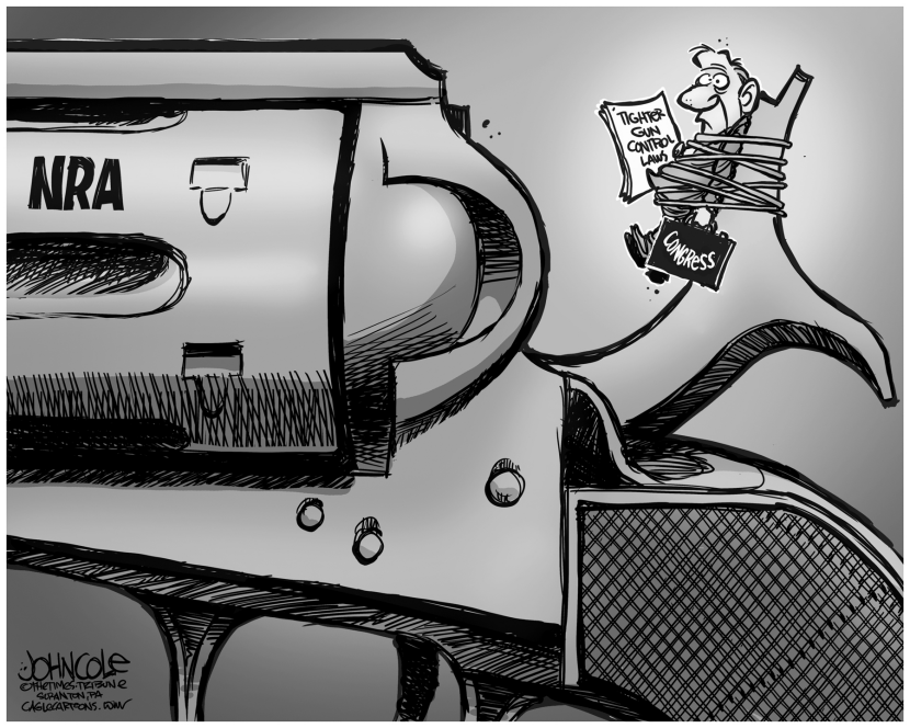NRA and Congress BW