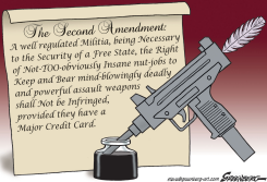 2ND AMENDMENT by Steve Greenberg