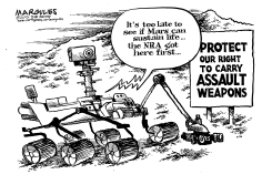 MARS ROVER by Jimmy Margulies