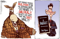 RYAN'S BUDGET  by Rick McKee
