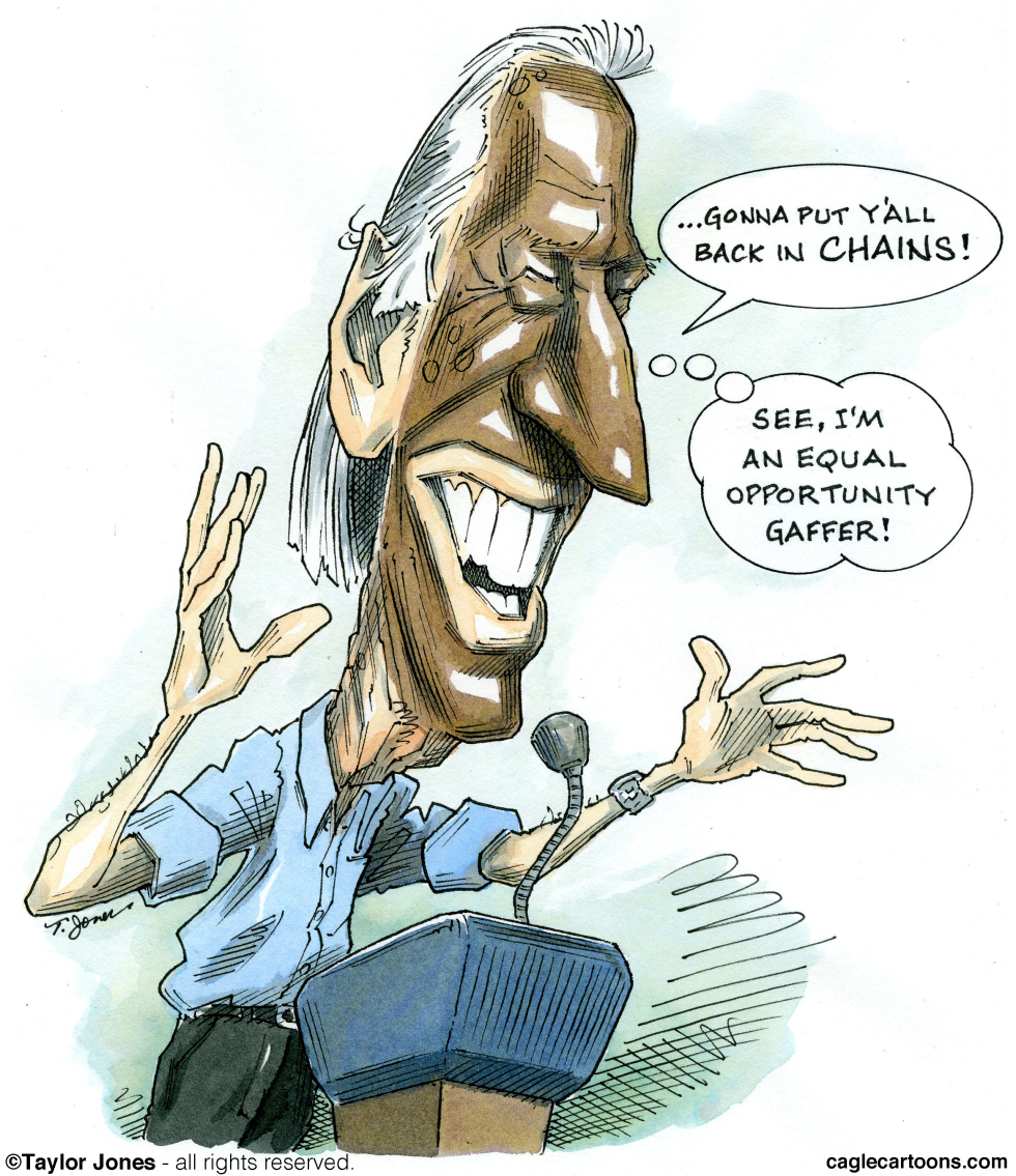  JOE BIDEN - GAFFEMASTER by Taylor Jones