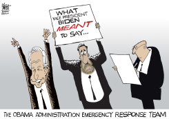 THE BIDEN EMERGENCY RESPONSE TEAM,  by Randy Bish