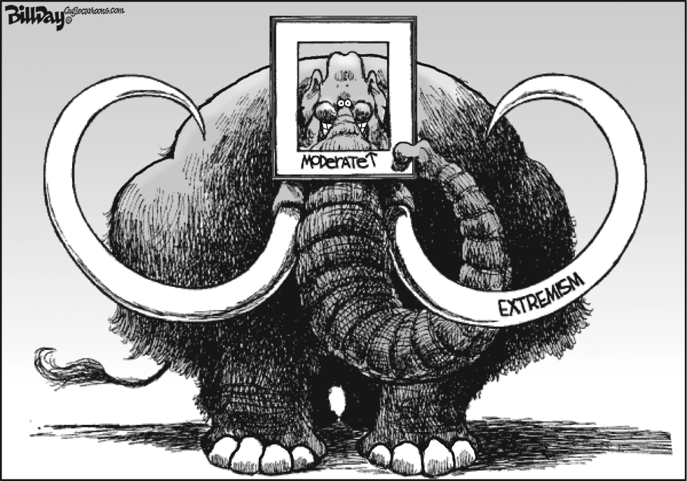 The BIG Picture