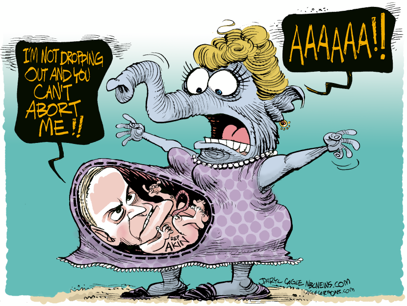 Rep Akin and Abortion COLOR