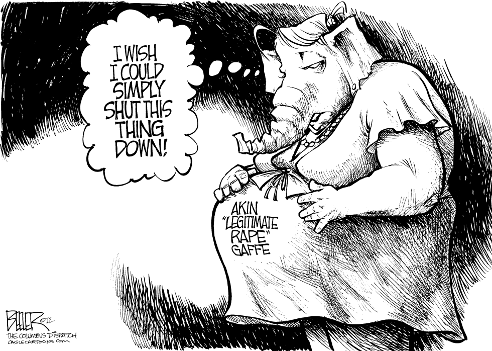 Akin Gaffe