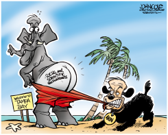 AKIN AND THE GOP CONVENTION  by John Cole